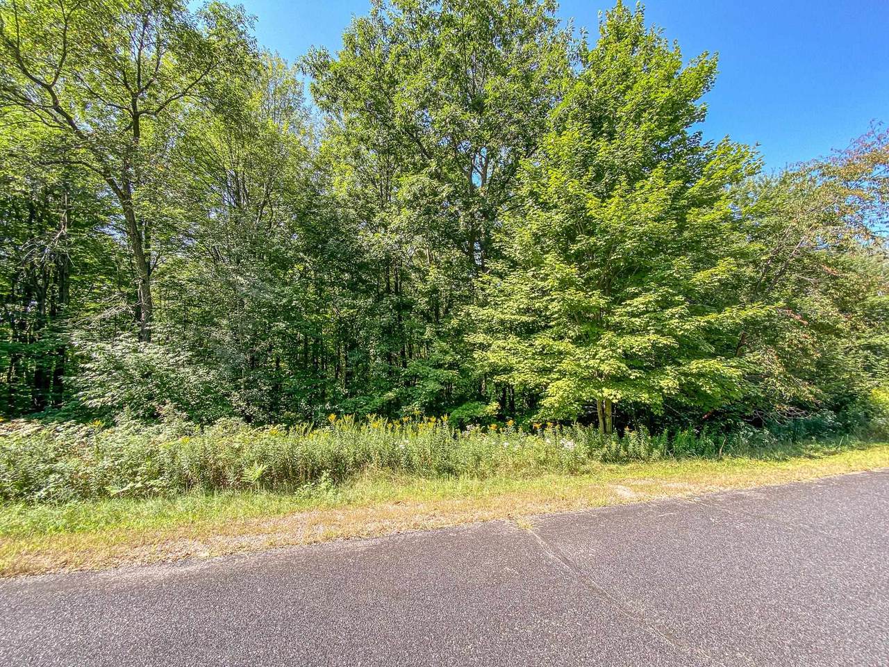 0 Starflower Drive - Photo 1