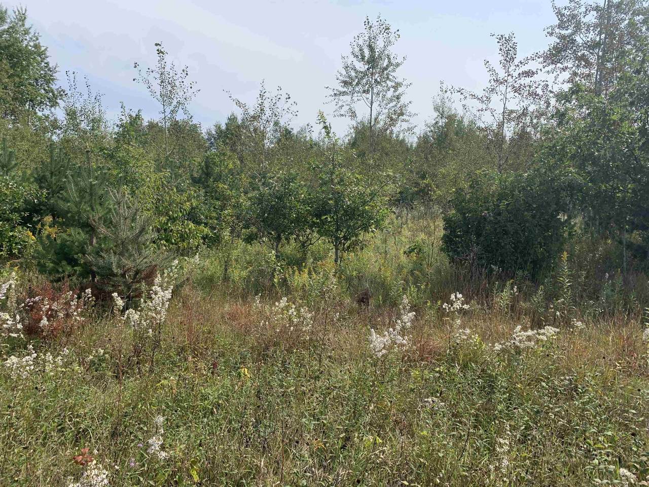 Lot 3 Pioneer Road - Photo 1