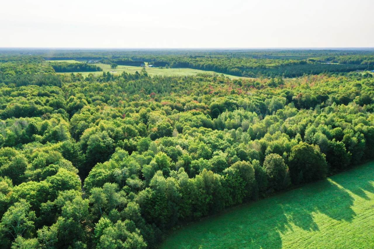 +/-20 Acres Knox Road - Photo 1