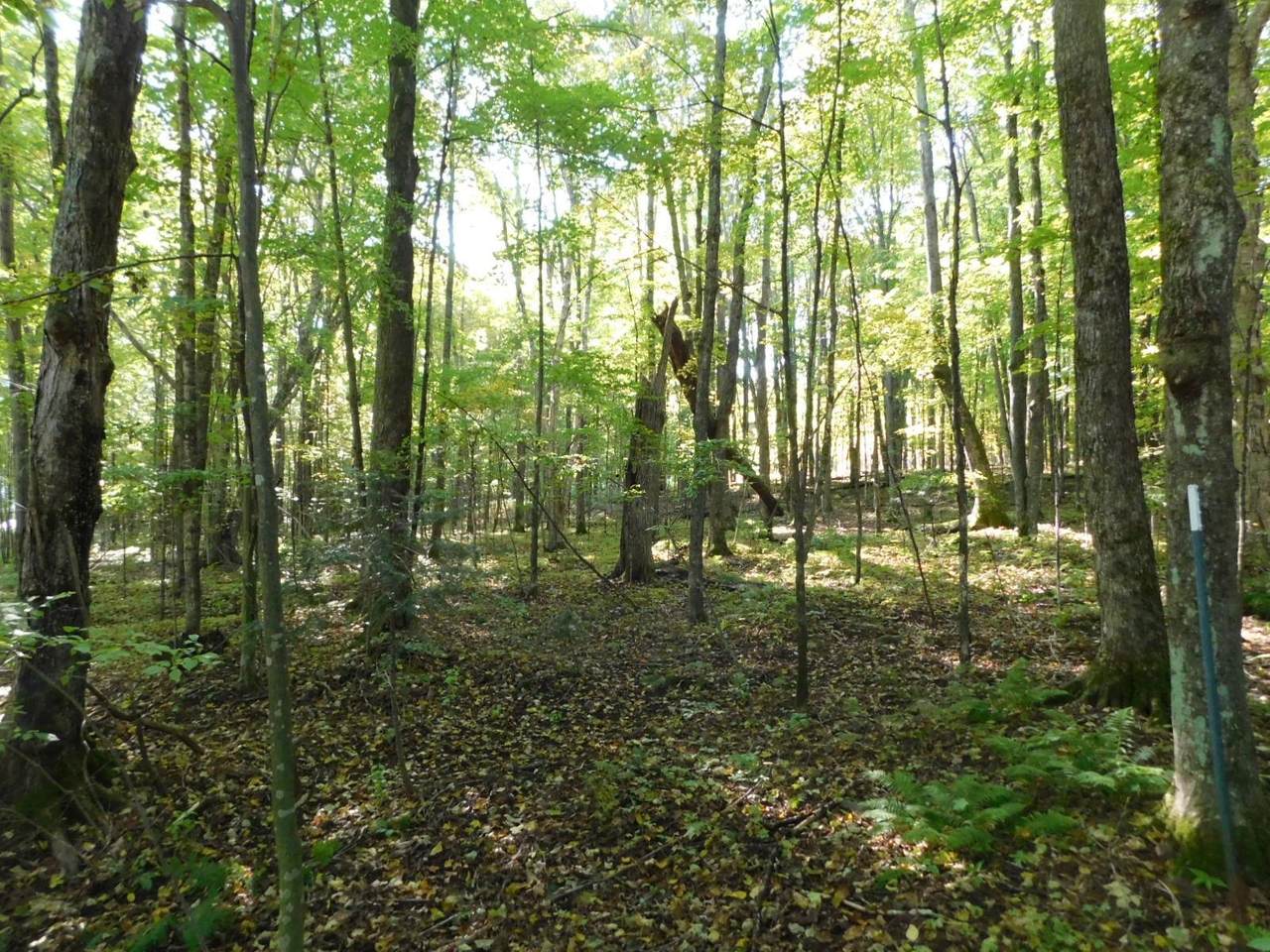 Lot 4 Edward Drive - Photo 1