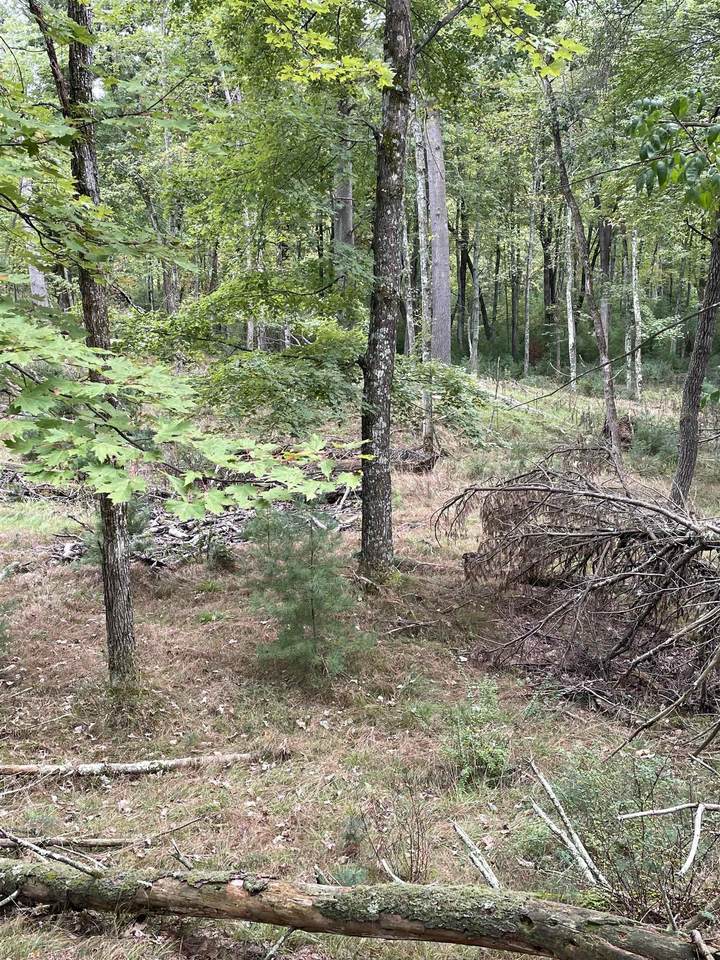 13.62 Acres-Lot 3 of Townline Road - Photo 1