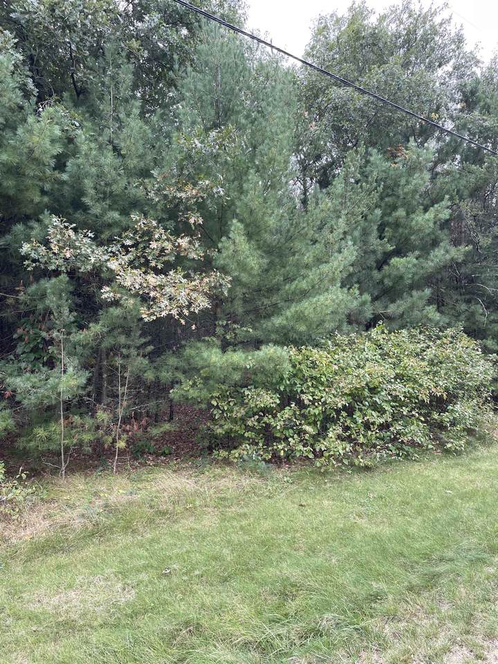 10.67 Acres-Lot 5 of Townline Road - Photo 1