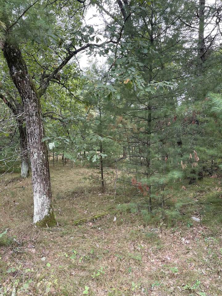 10.24 Acres-Lot 7 of Townline Road - Photo 1