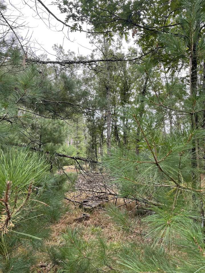 8.743 Acres-Lot 10 o Townline Road - Photo 1