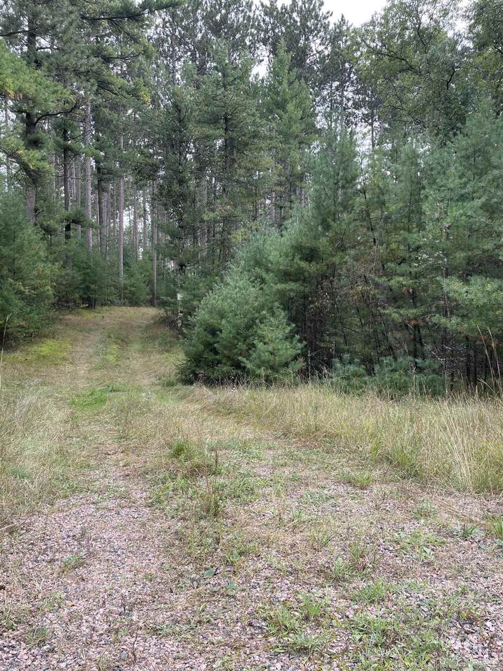 8.457 Acres-Lot 13 o Townline Road - Photo 1