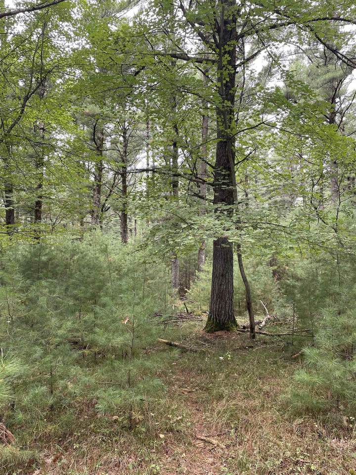 10.419 Acres-Lot 5 o 48TH STREET SOUTH - Photo 1