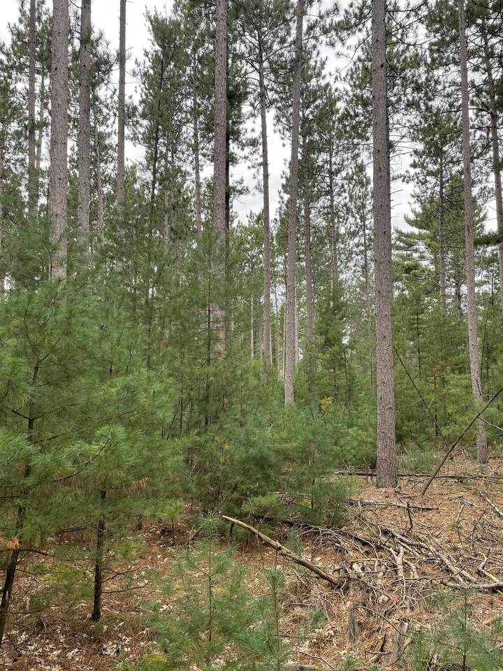 10.403 Acres-Lot 6 o 48TH STREET SOUTH - Photo 1