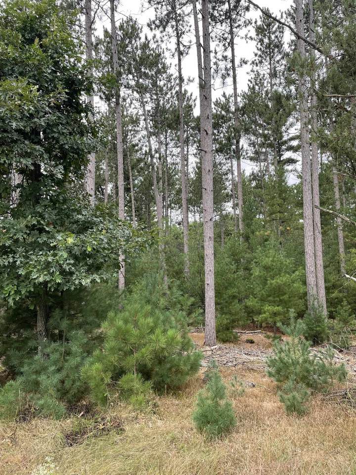 10.386 Acres-Lot 7 o 48TH STREET SOUTH - Photo 1