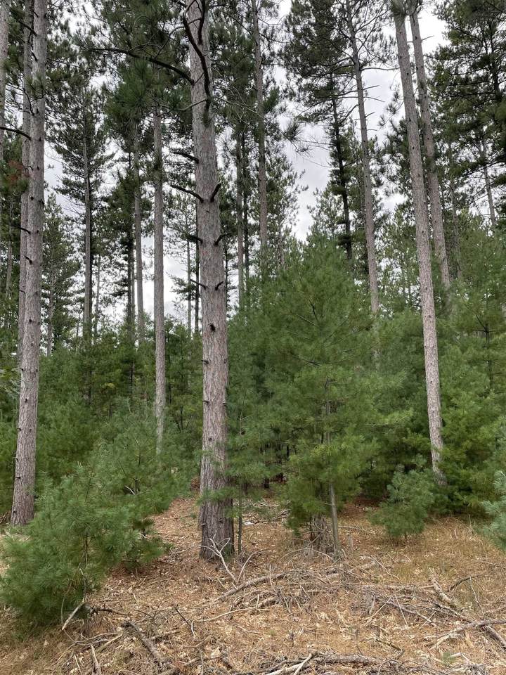 10.369 Acres-Lot 8 o 48TH STREET SOUTH - Photo 1