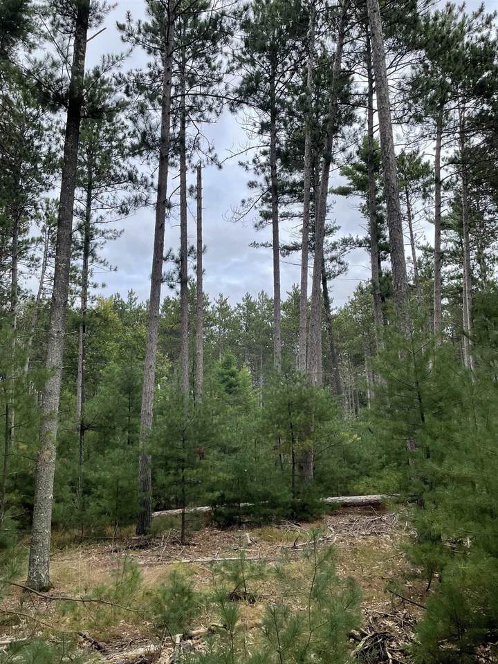 4.282 Acres-Lot 9 of Townline Road - Photo 1