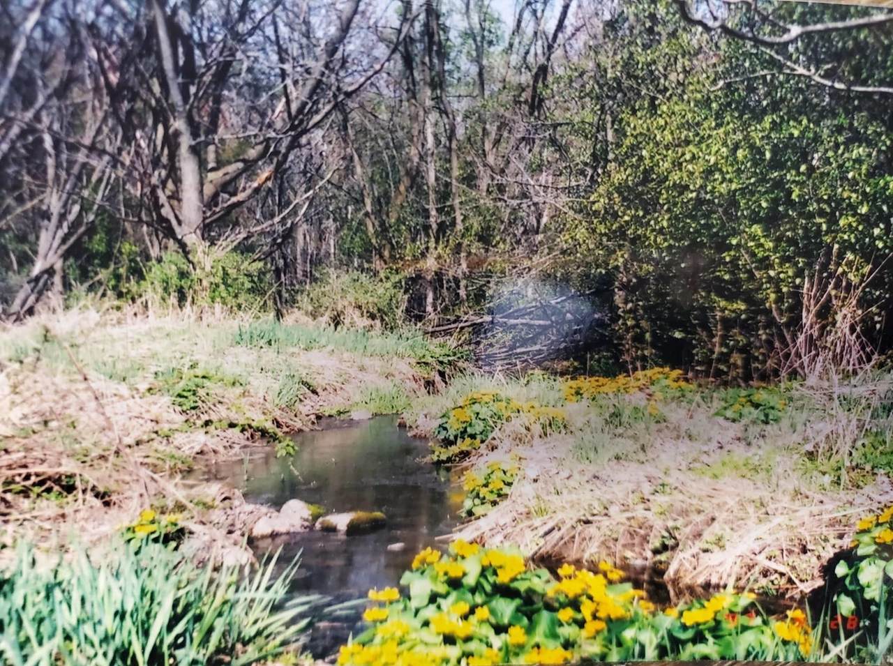 Park Road - Photo 1