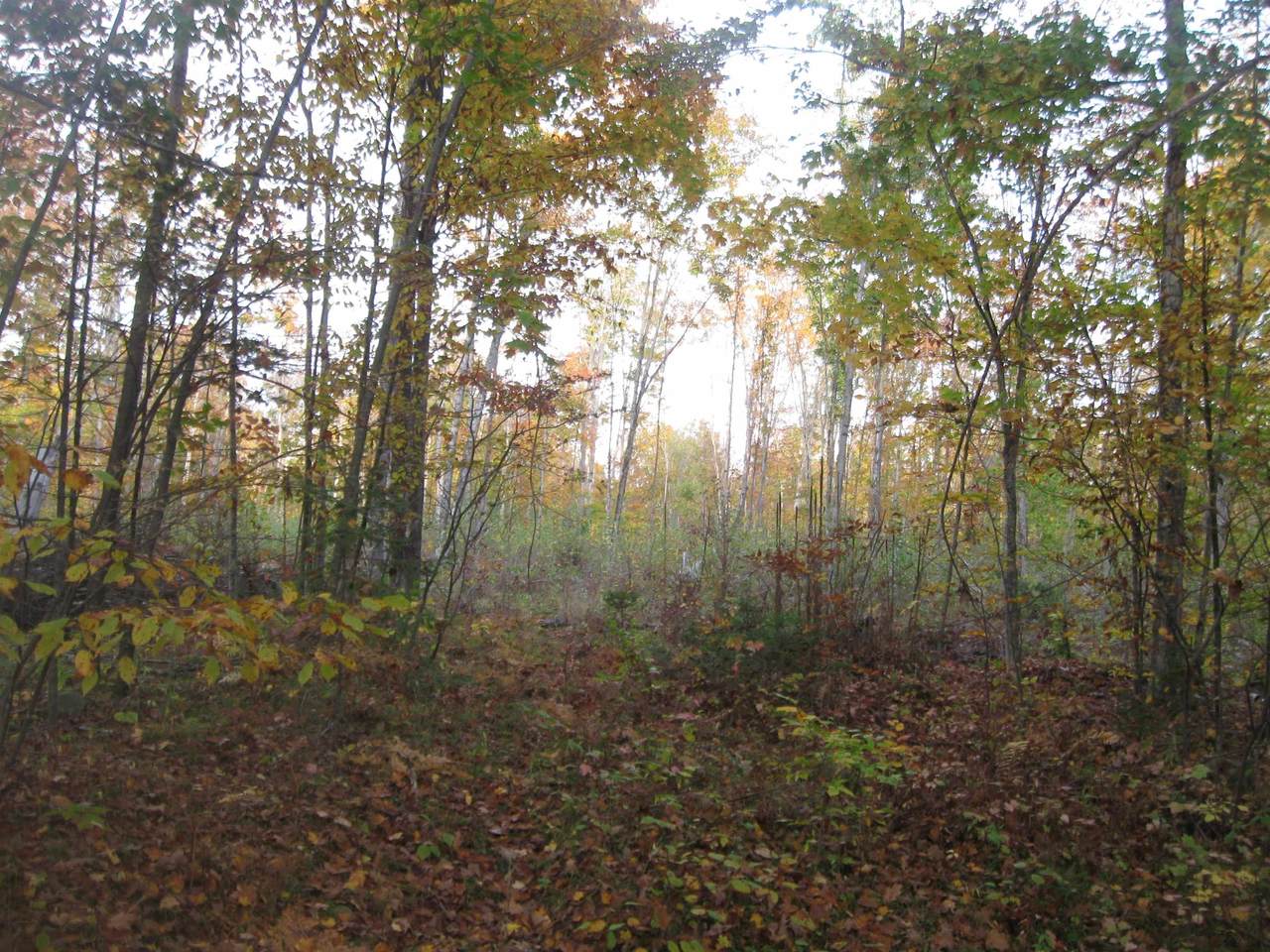 15825 Island Lake Road - Photo 1