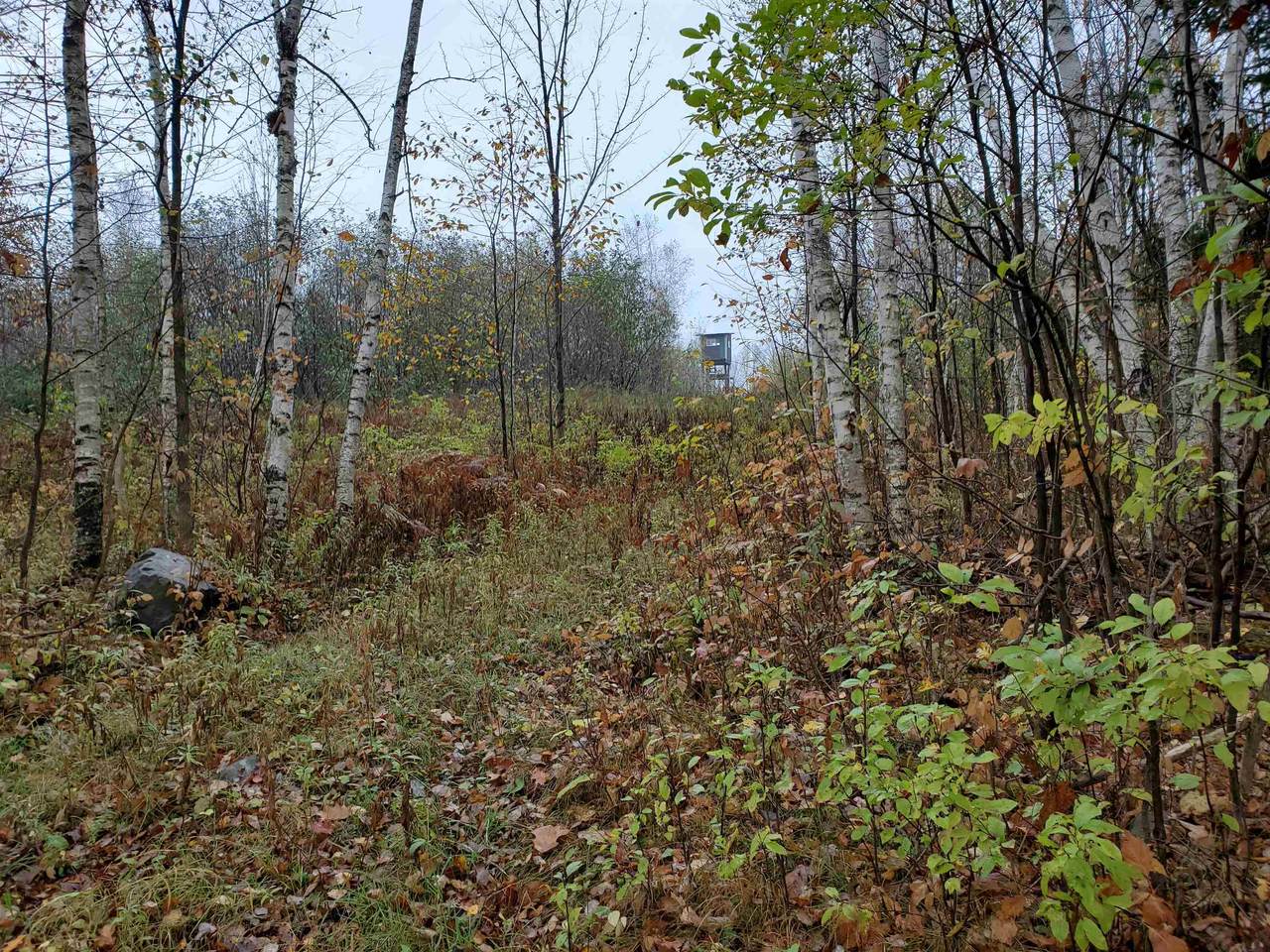 8901 Jones Street - Photo 1