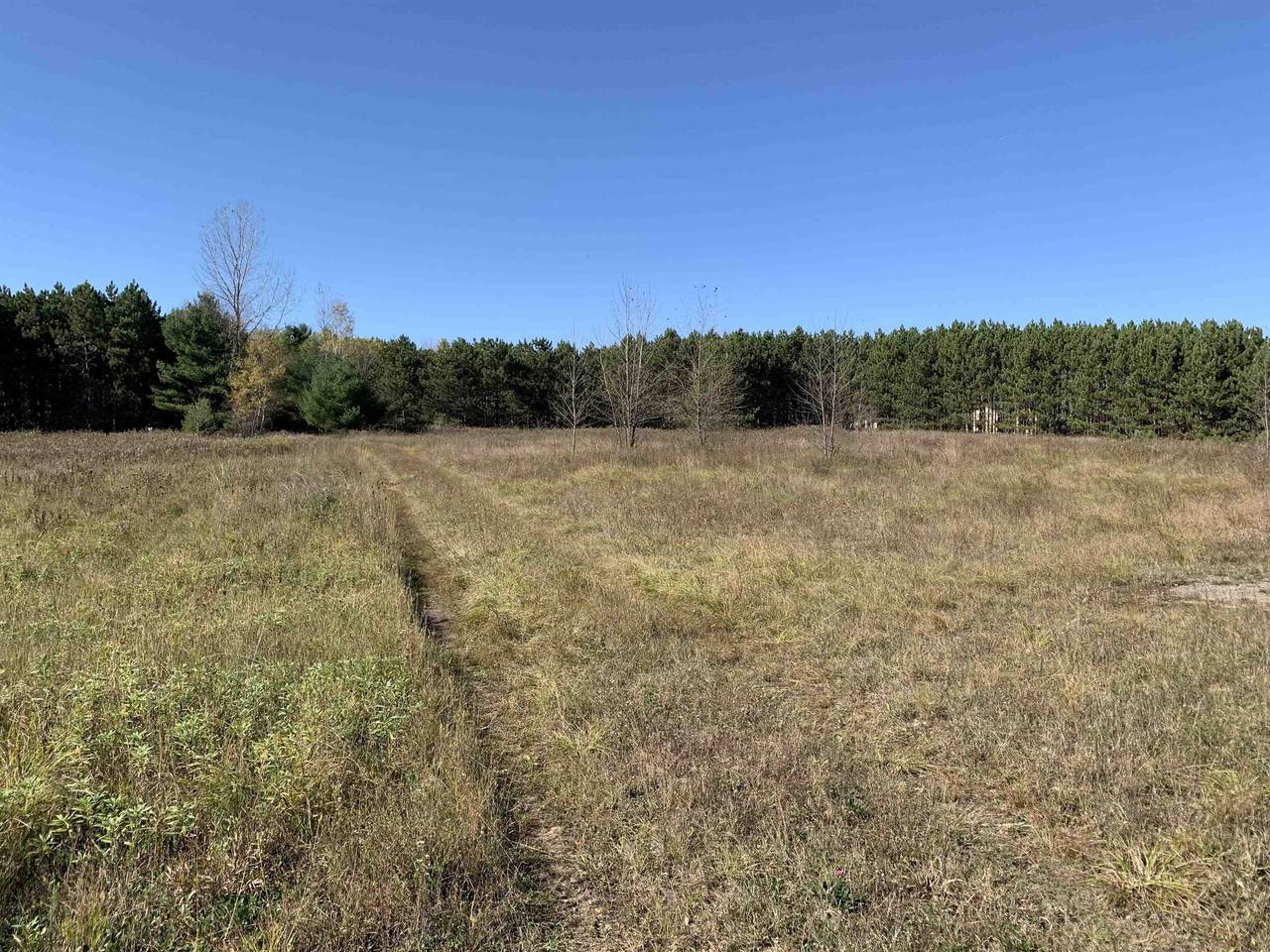 1985 Sawmill Road - Photo 1