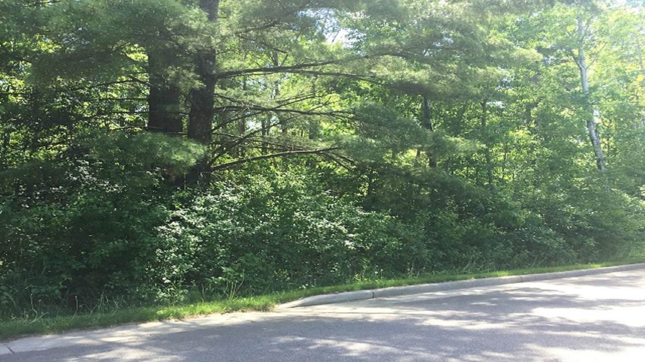 609 Roberts Street - Photo 1