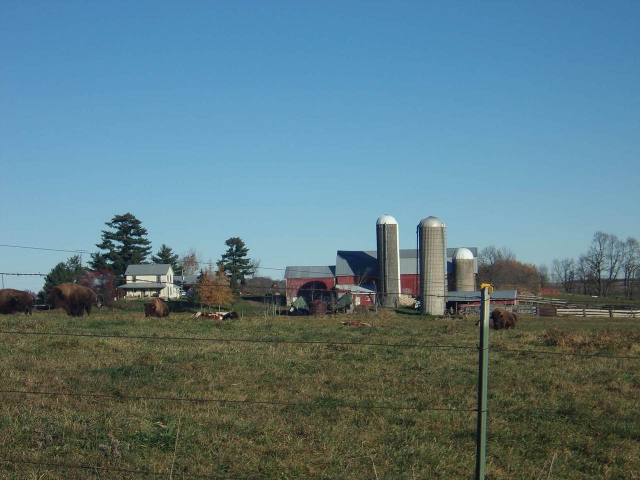 N3394 Robin Avenue - Photo 1