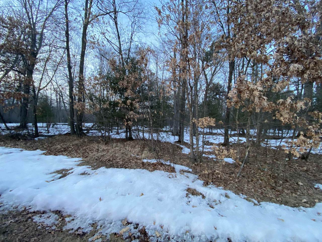 2340 Carey Street - Photo 1