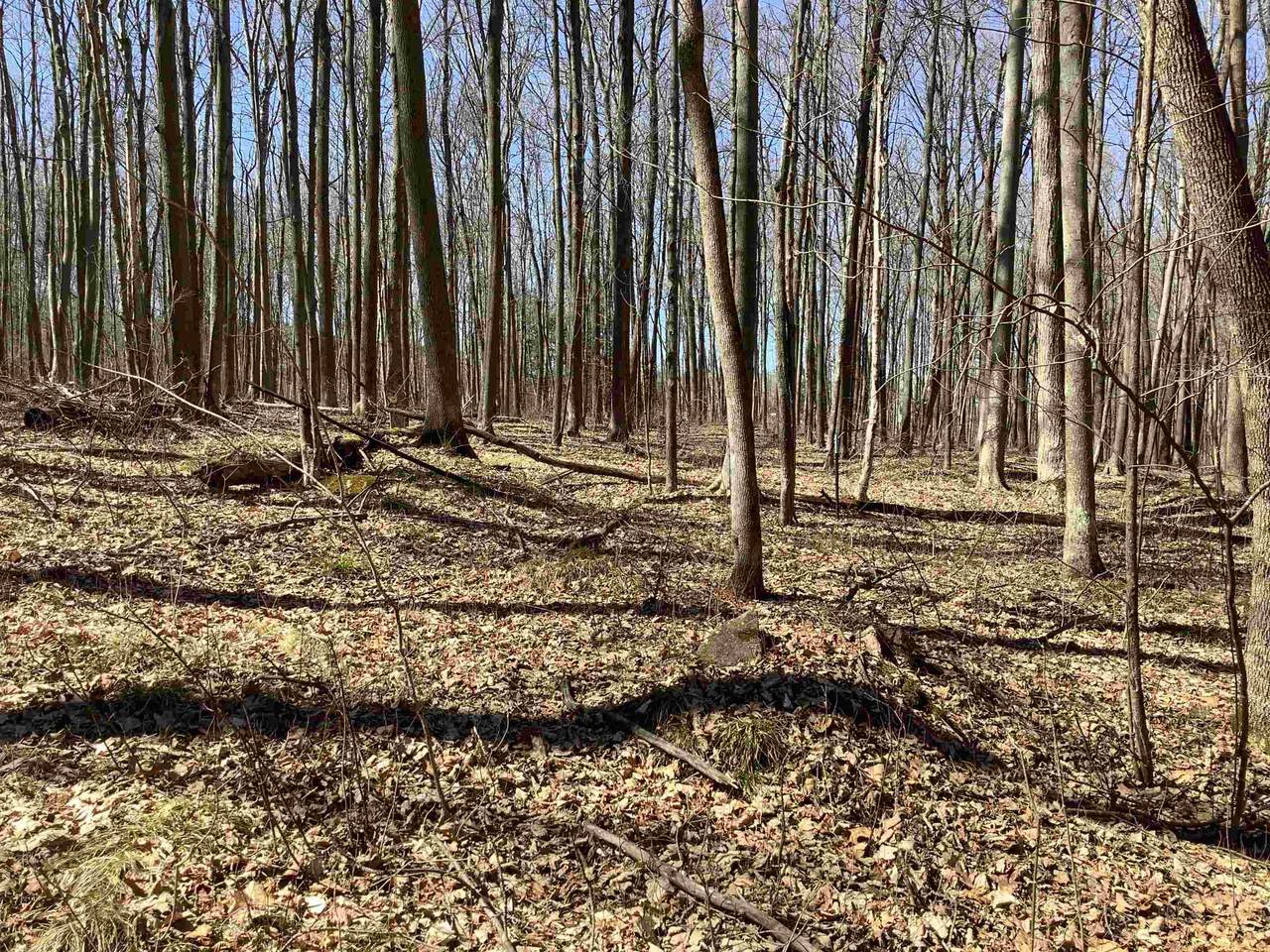 Lot 1 Sandy Shore Road - Photo 1