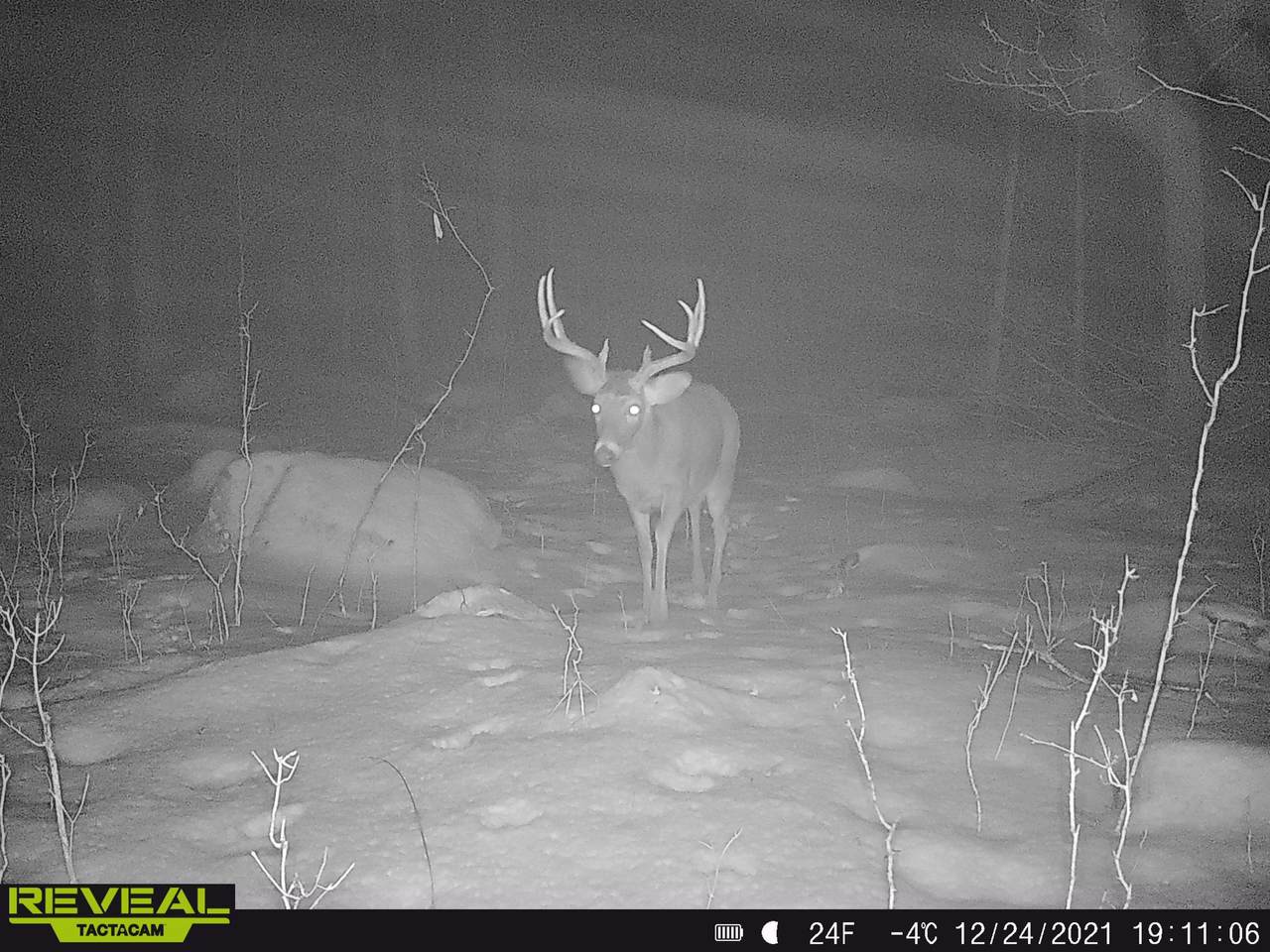 0 Beetle Creek Road - Photo 1