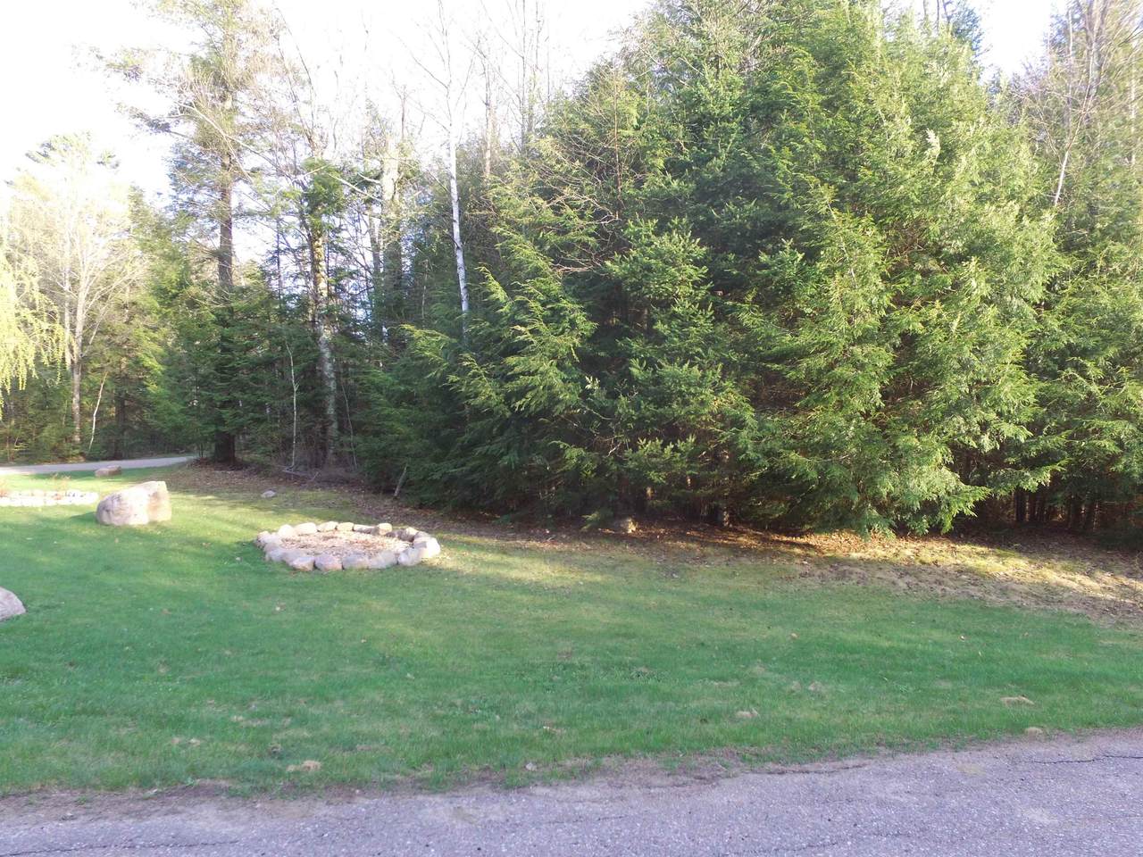 Lot 68 Red Fox Run - Photo 1