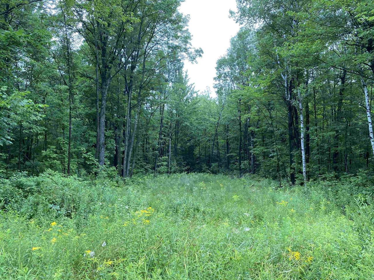 ON-Sale 2043-4 Joe Snow Road - Photo 1