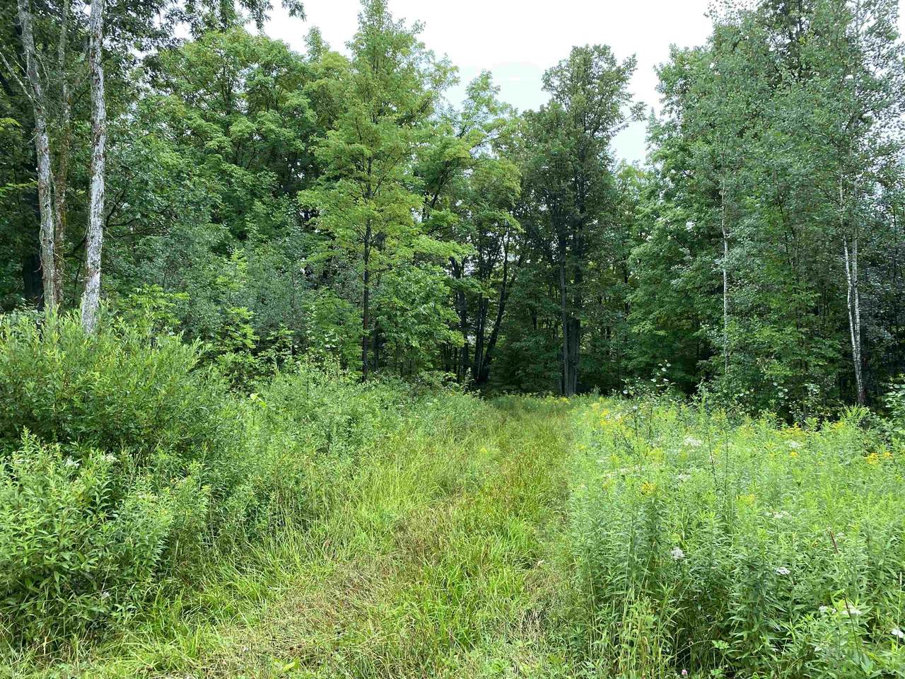 ON-Sale 2043-5 Joe Snow Road - Photo 1