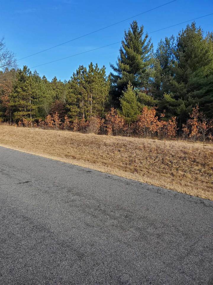 Lot 1 13.118 ac Akron Avenue - Photo 1