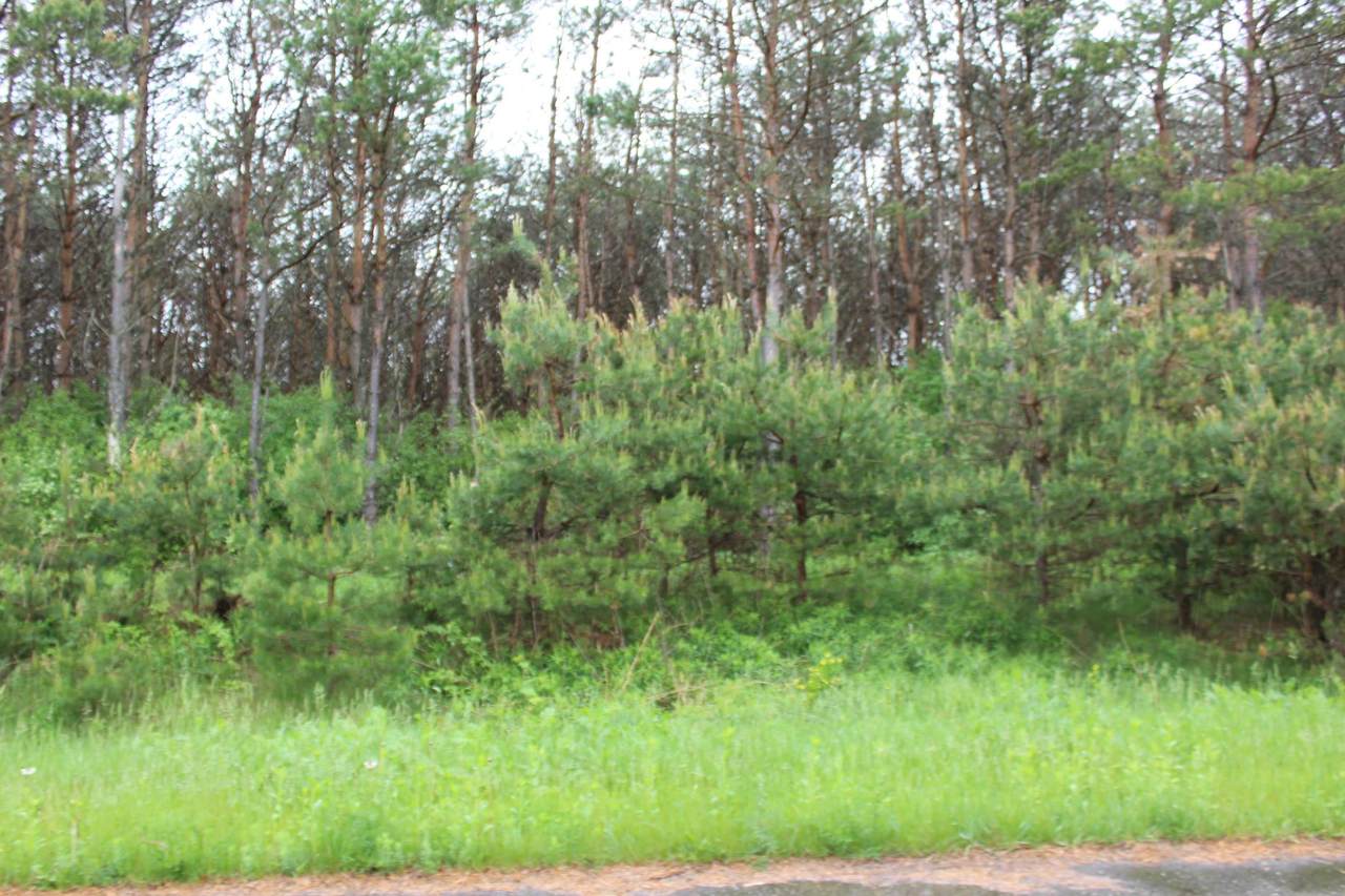 Lot 25 Savannah Lane - Photo 1