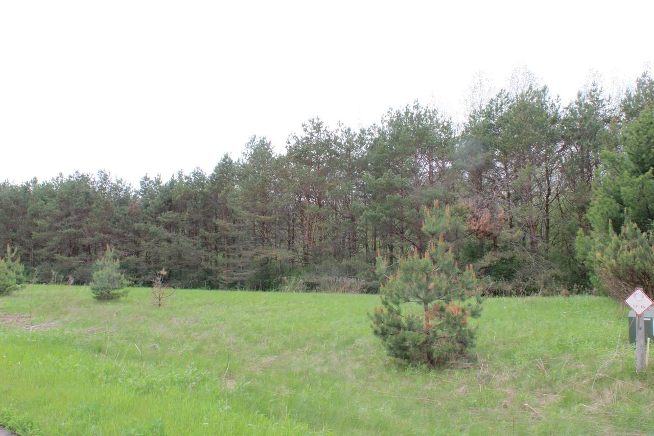lot 15 Savannah Lane - Photo 1