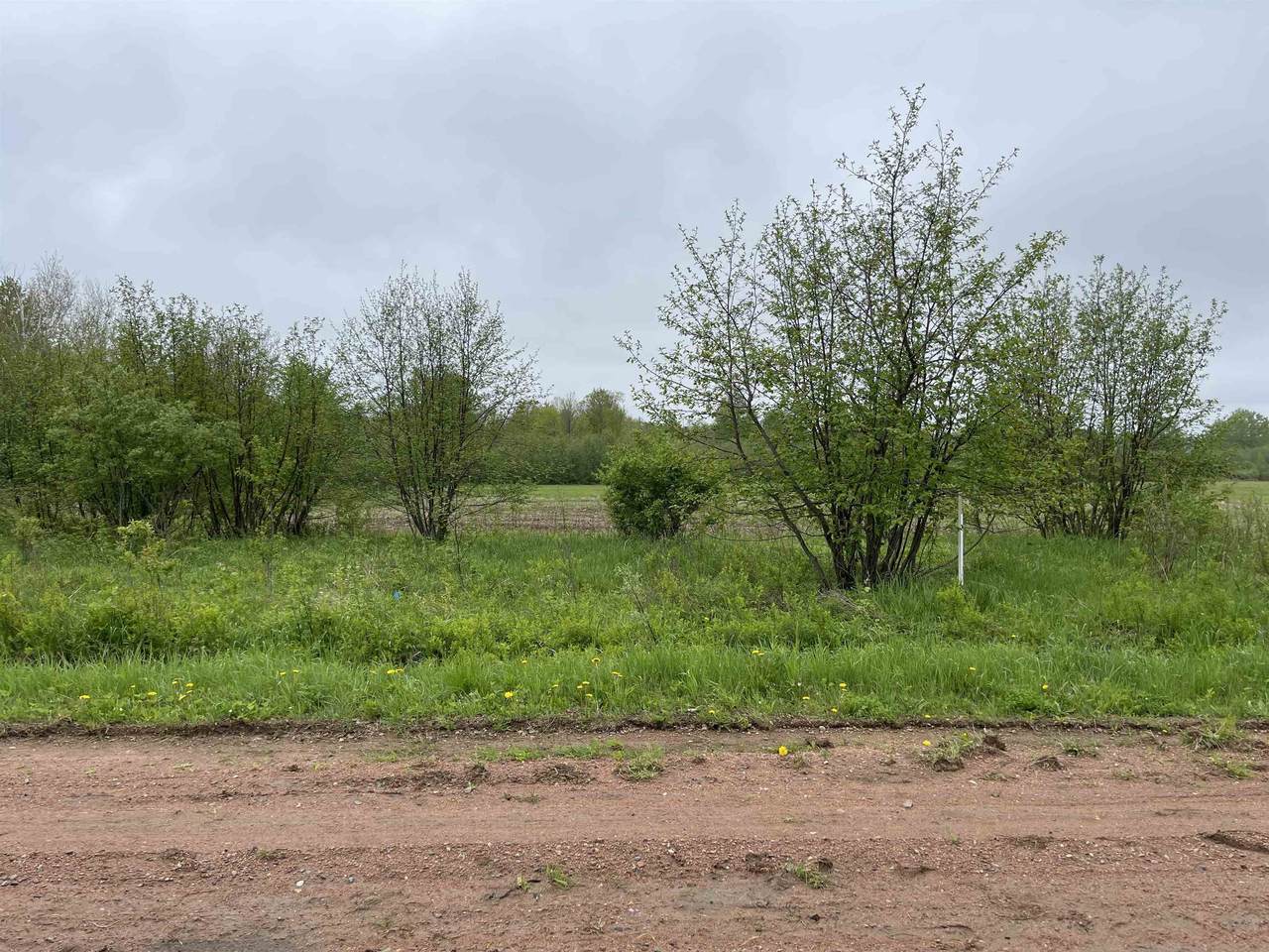 Lot 1 Tomato Road - Photo 1
