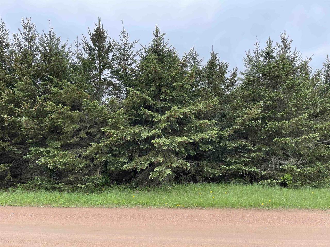 Lot 5 Tomato Road - Photo 1