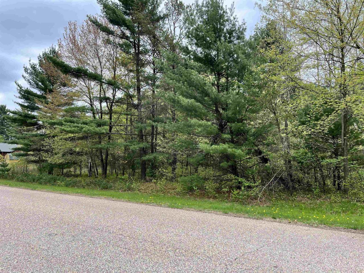 Lot 9-Parcel #070469 Log Home Lane - Photo 1