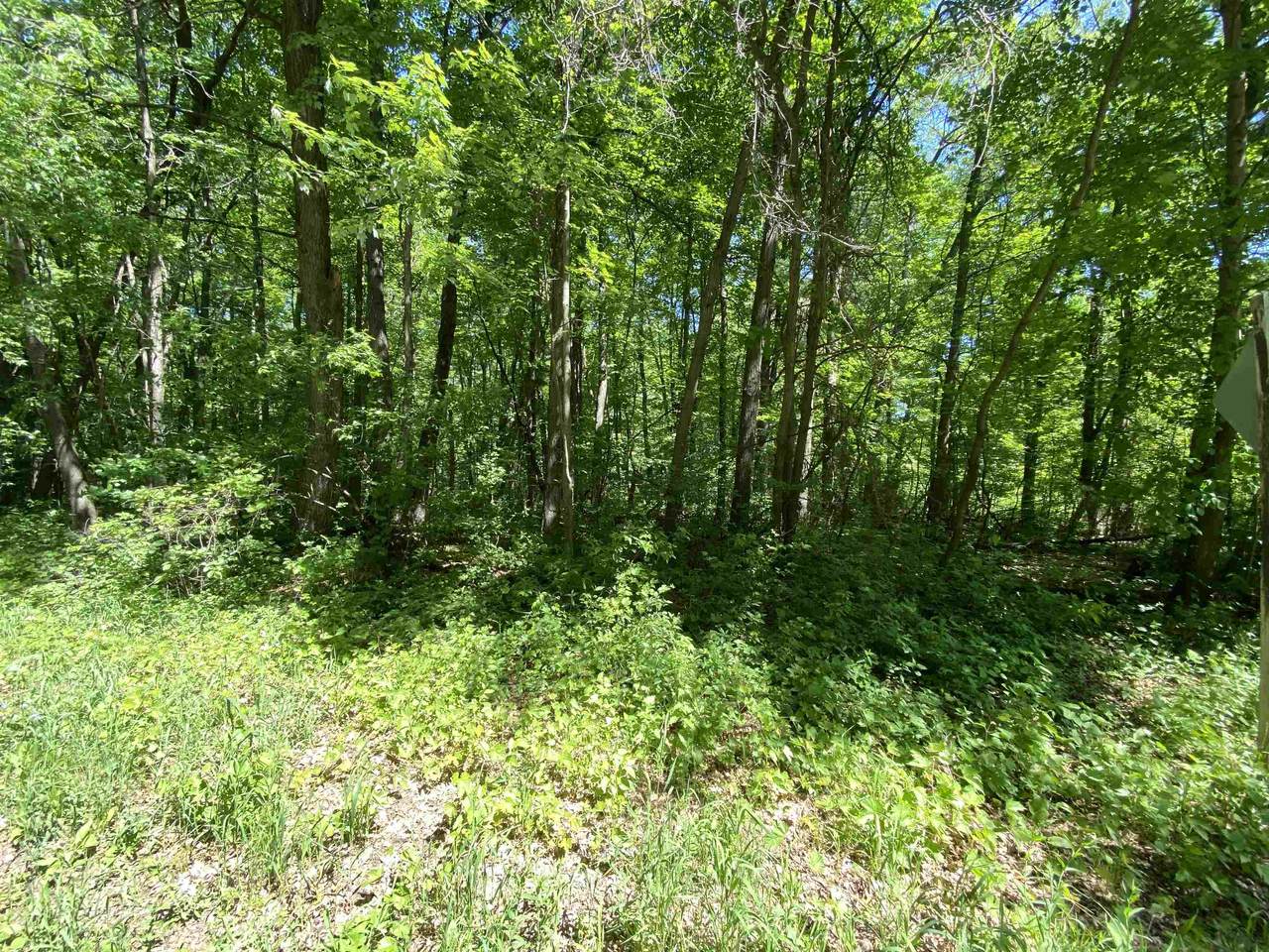Lot 8 Algoma Street - Photo 1