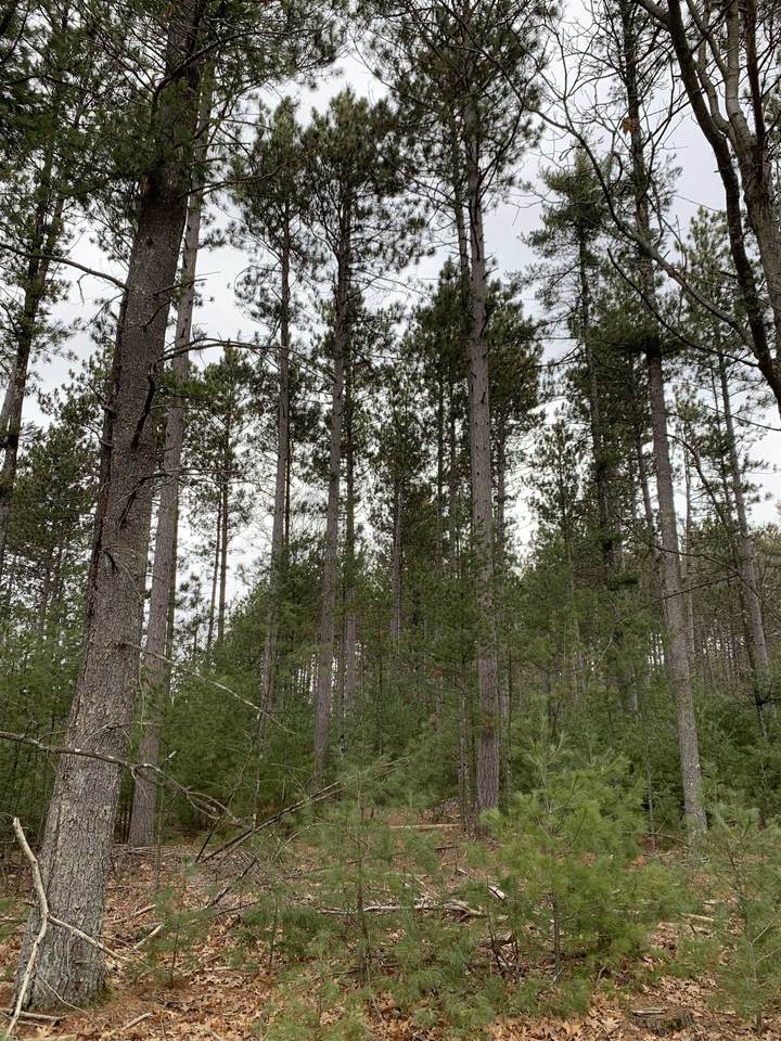 Lot 9 Townline Road - Photo 1