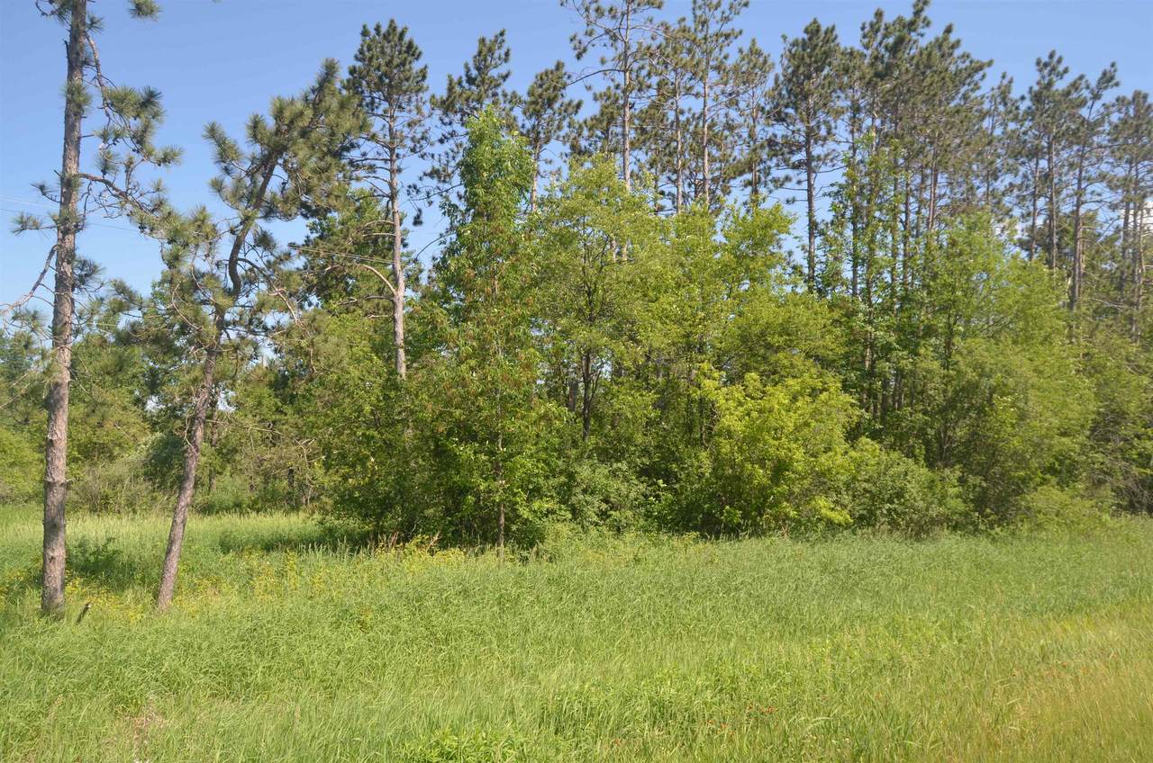 Kapitz Avenue - Photo 1