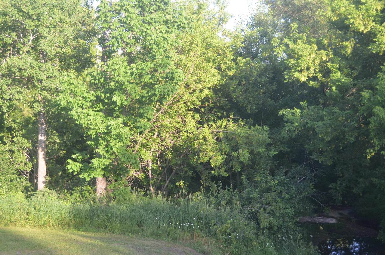 Fayette Avenue - Photo 1
