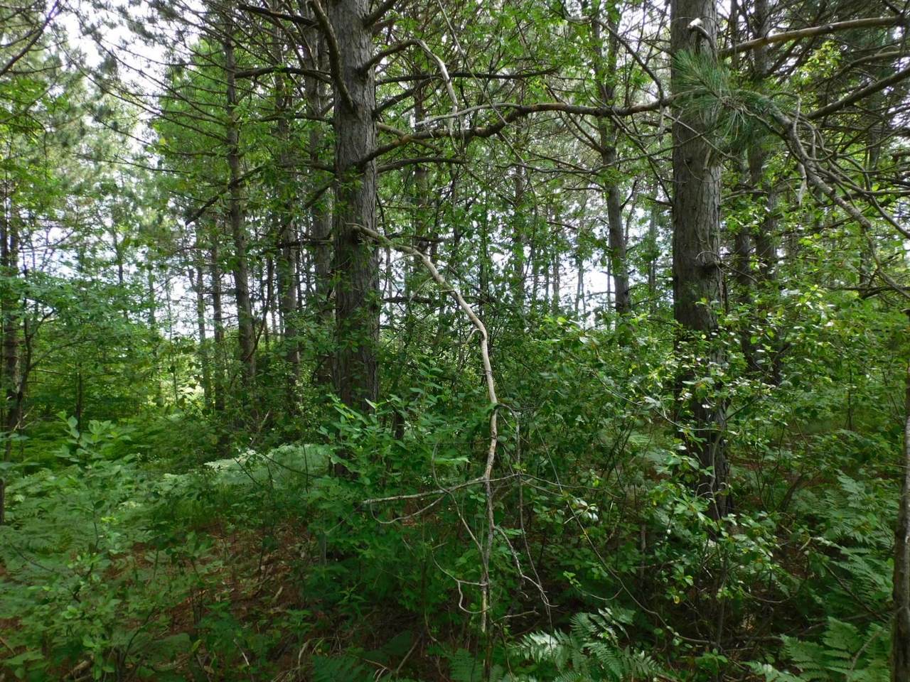 VL Old County Road C - Photo 1