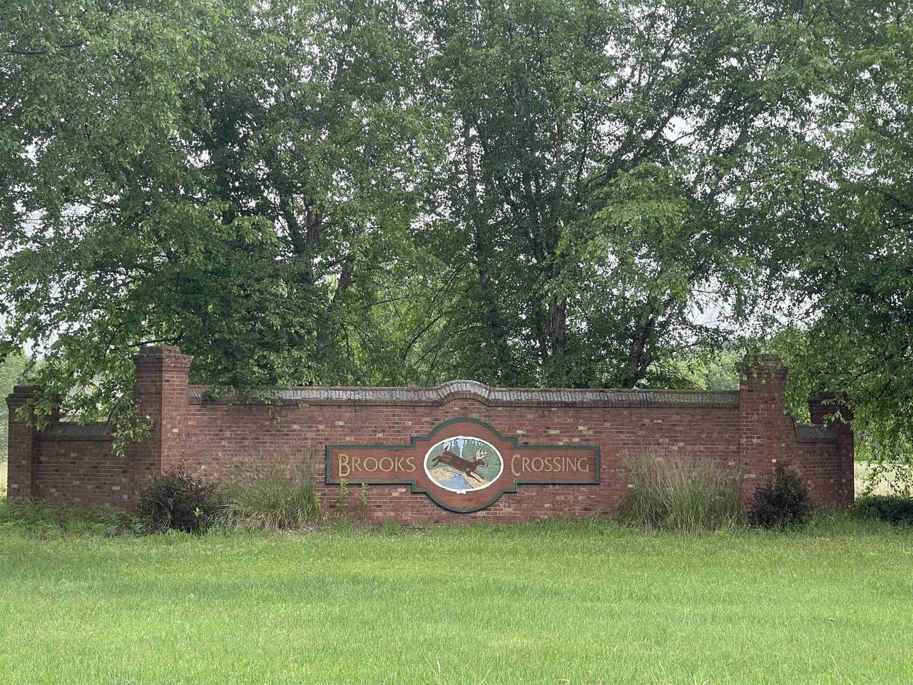 Lot 13 Antler Circle - Photo 1