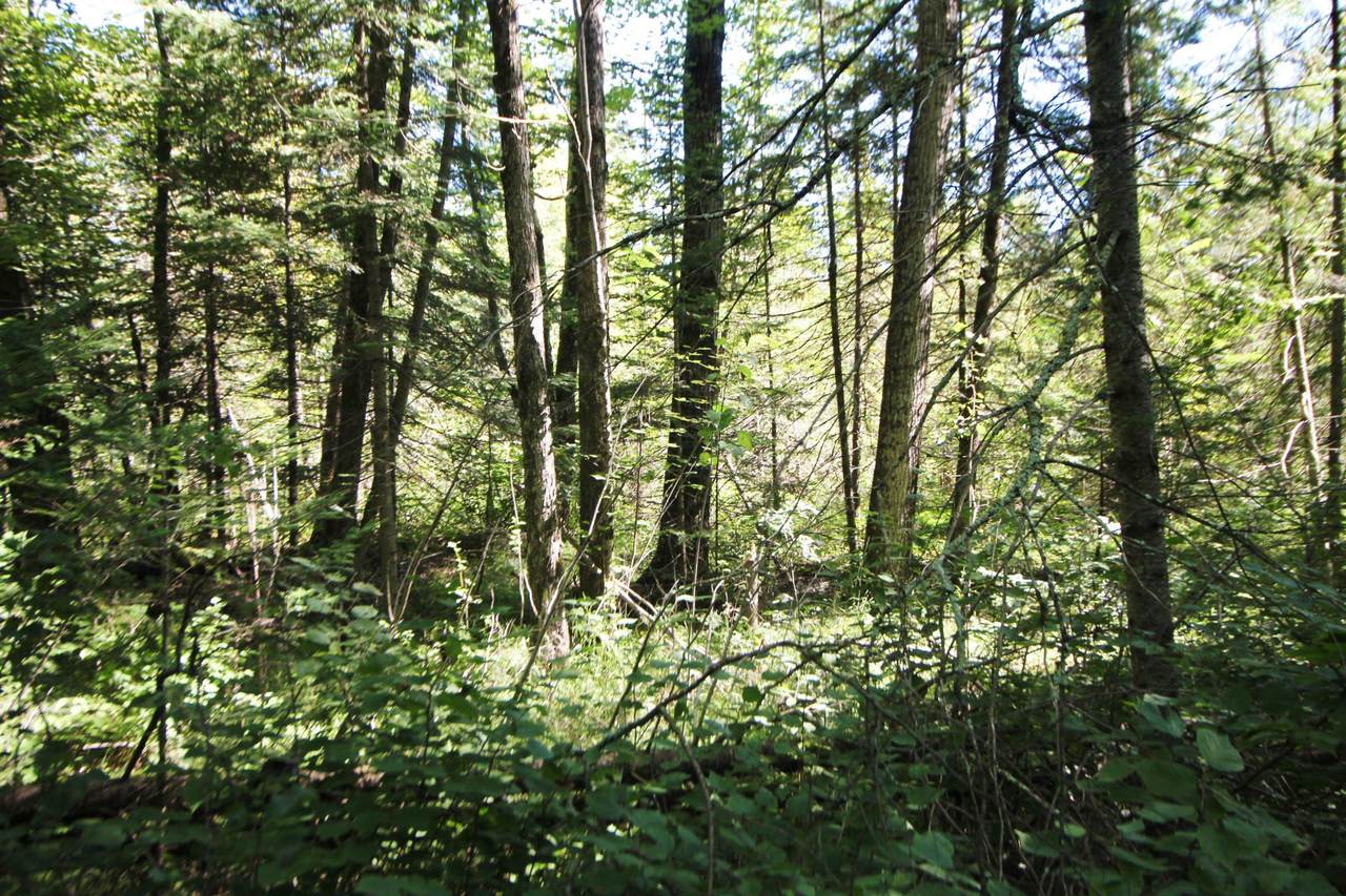 +/-2.197 Acres County Road I - Photo 1