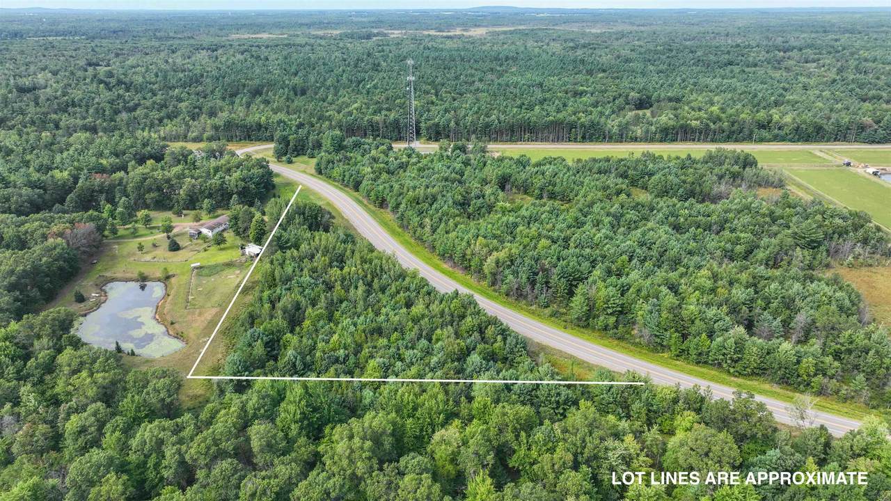 4 Acres State Highway 54 West - Photo 1