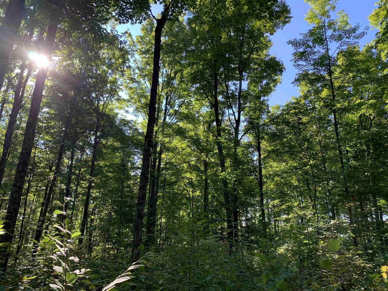 000 Woodland Drive - Photo 1