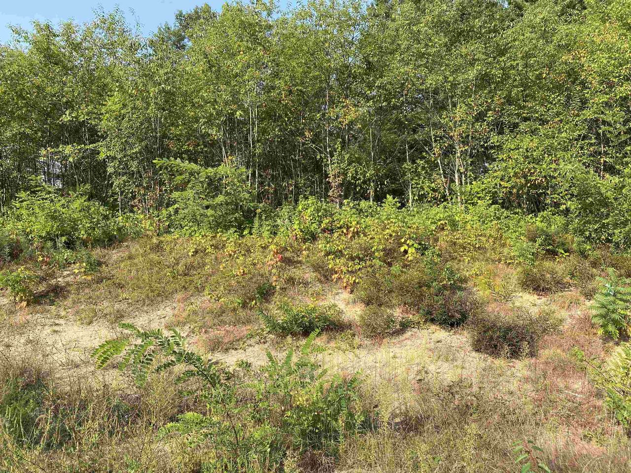 Lot 3 Brooke Lane - Photo 1