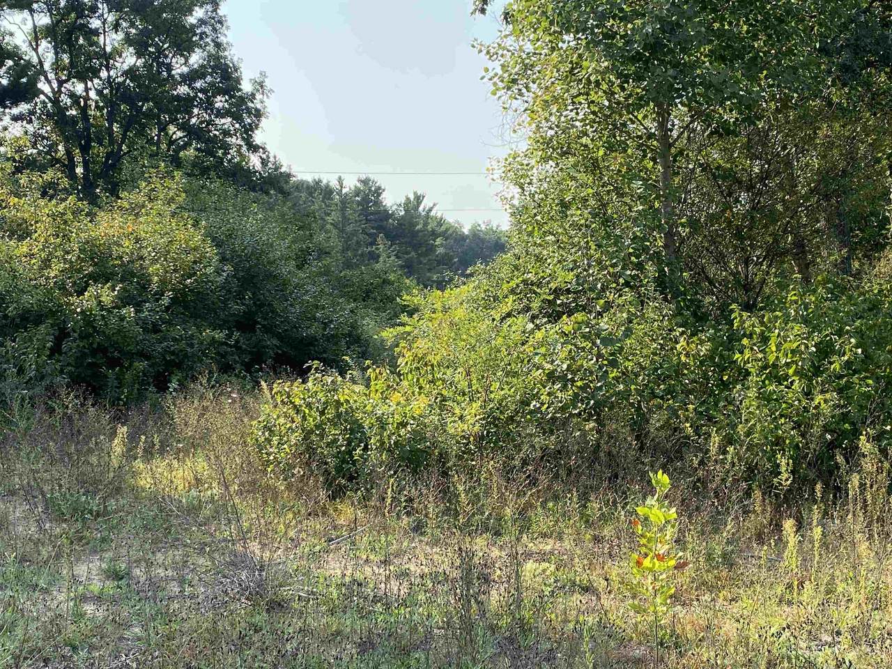 Lot 11 Brooke Lane - Photo 1