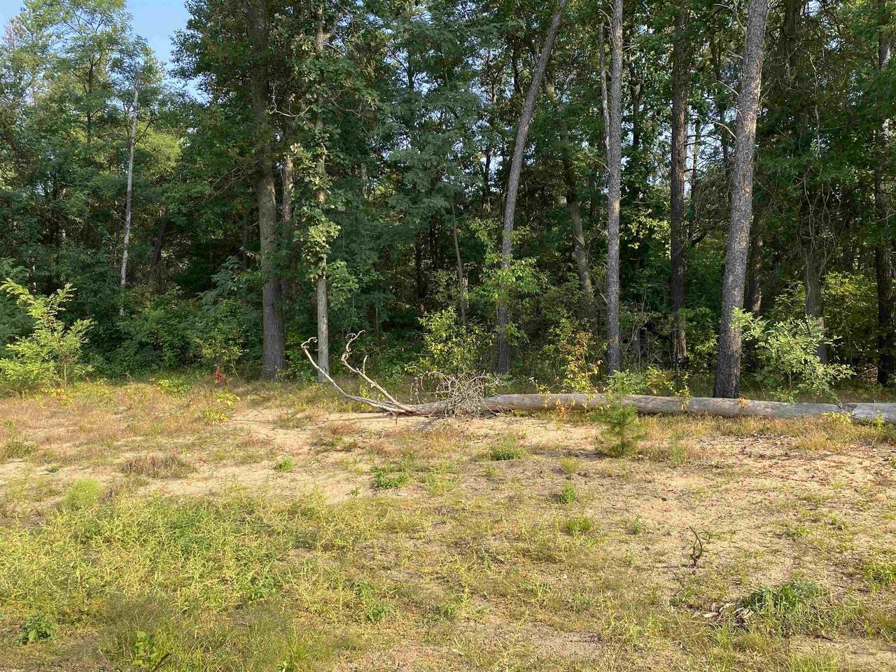 Lot 20 Jeremy Court - Photo 1