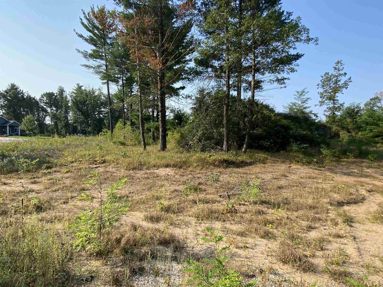 Lot 21 Jeremy Court - Photo 1
