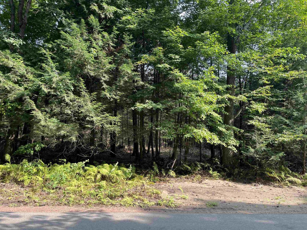 Lot 4 28TH AVENUE - Photo 1
