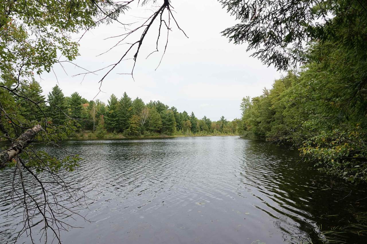 000 Clarke Lake Road - Photo 1