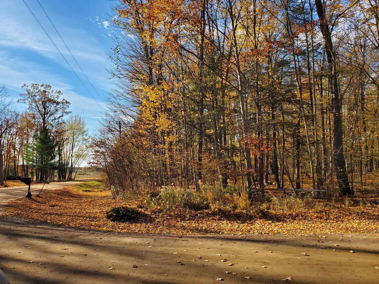 Lot 4 Bauer Drive - Photo 1
