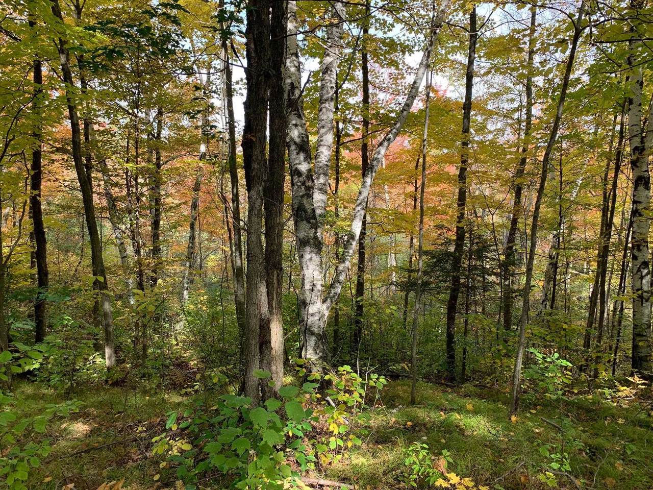 290TH STREET - Photo 1