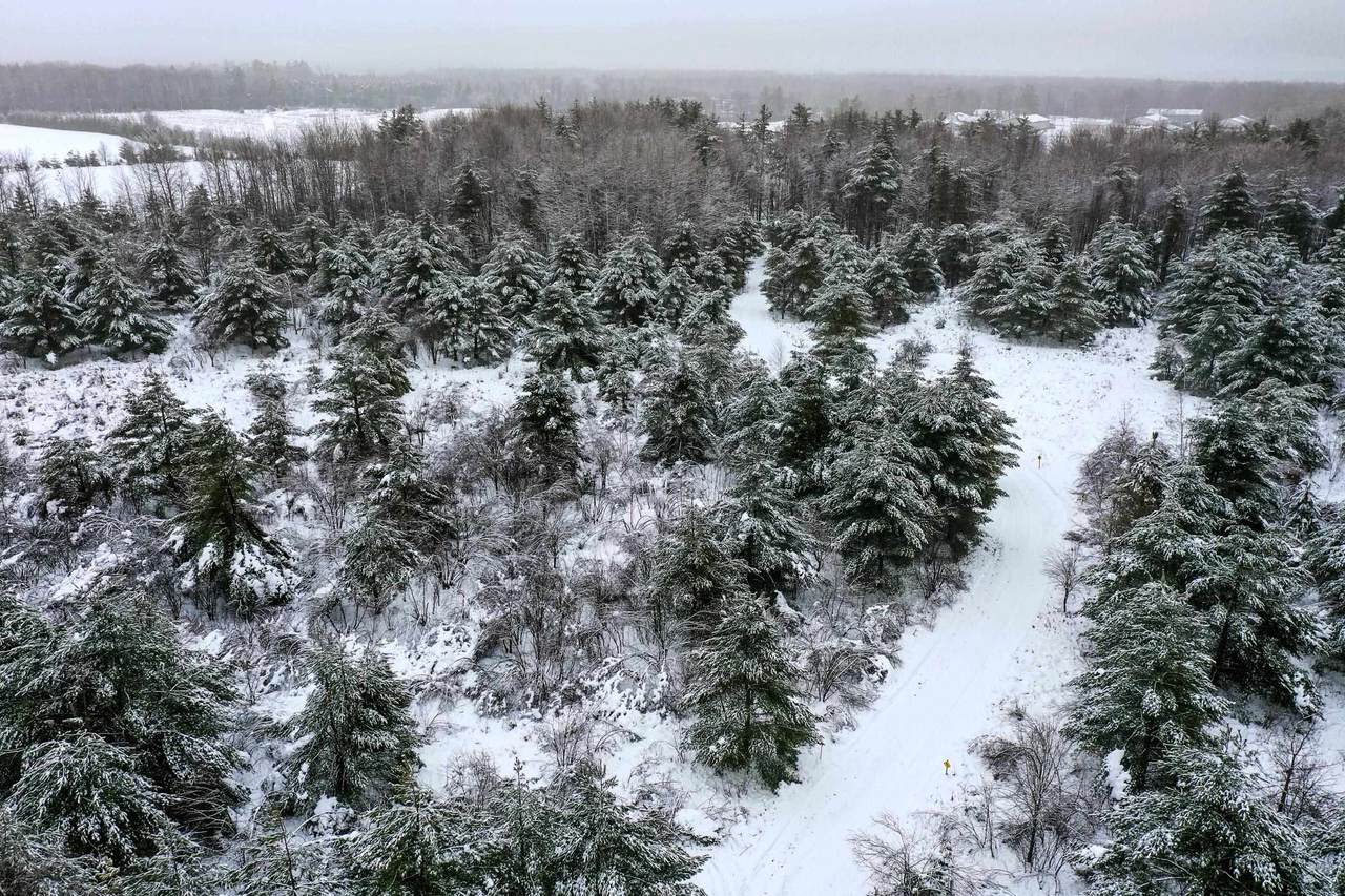 +/-26.19 Acres Shattuck Street - Photo 1